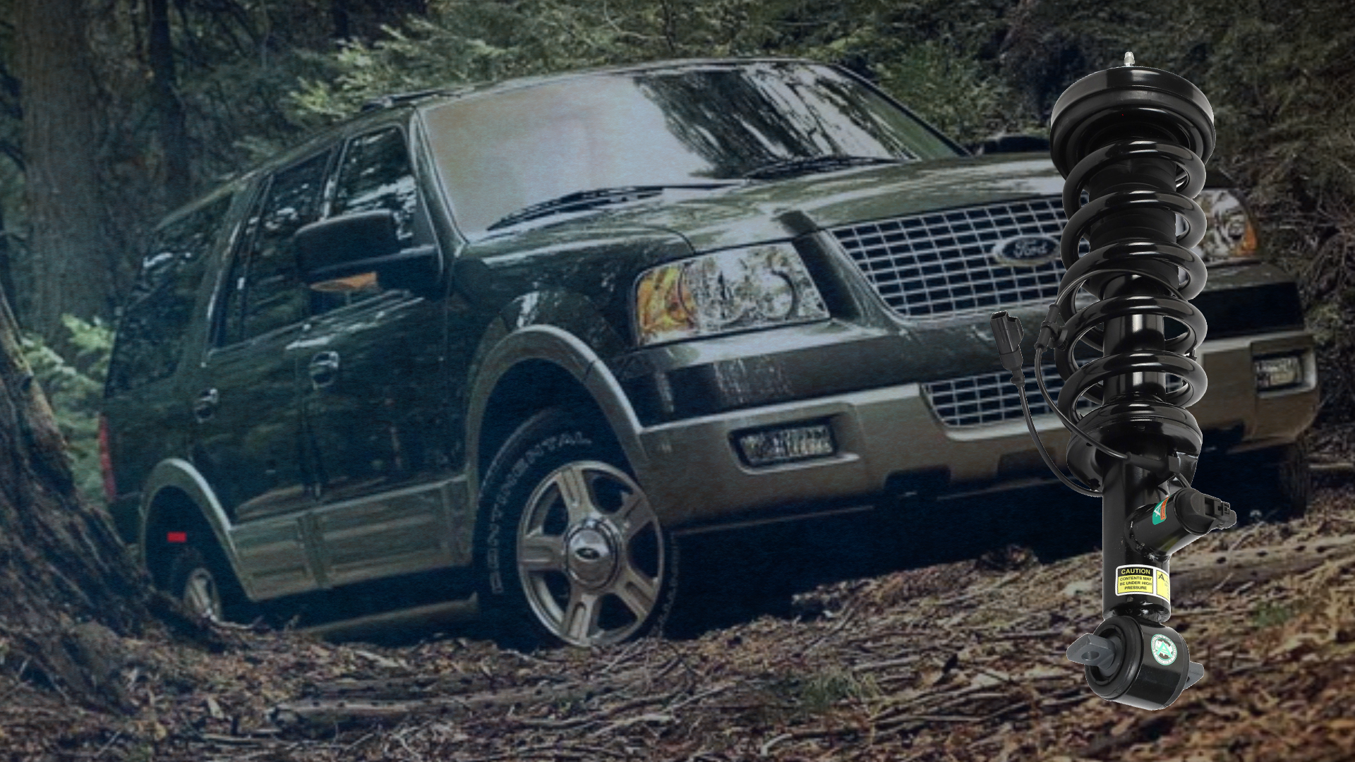 Arnott Air Suspension Parts for Ford Expedition